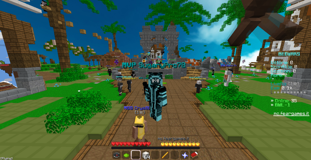 Minecraft Gameplay