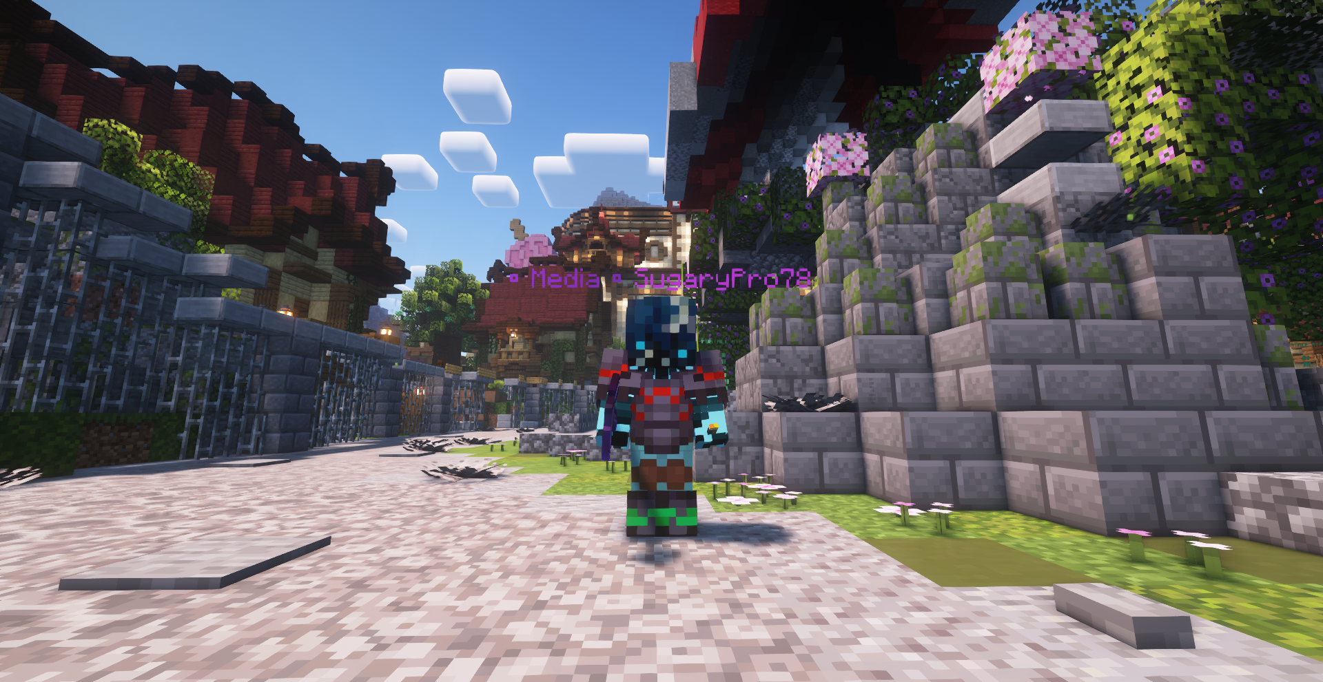 Screen Minecraft 8